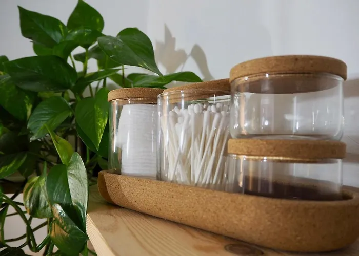 Friedrich 公寓 埃森